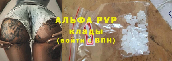 ГАЛЛЮЦИНОГЕННЫЕ ГРИБЫ Белокуриха