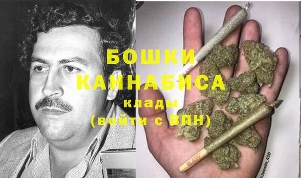ГАЛЛЮЦИНОГЕННЫЕ ГРИБЫ Белокуриха
