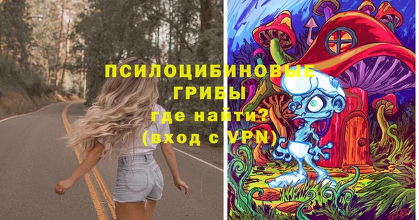 ГАЛЛЮЦИНОГЕННЫЕ ГРИБЫ Белокуриха