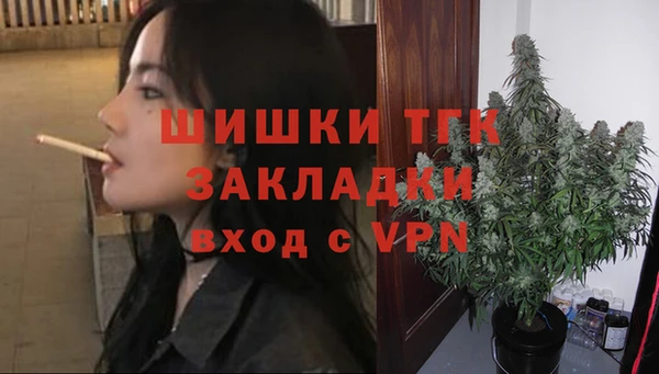 ГАЛЛЮЦИНОГЕННЫЕ ГРИБЫ Белокуриха