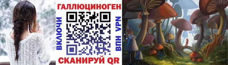 Галлюциногенные грибы прущие грибы  Высоковск 